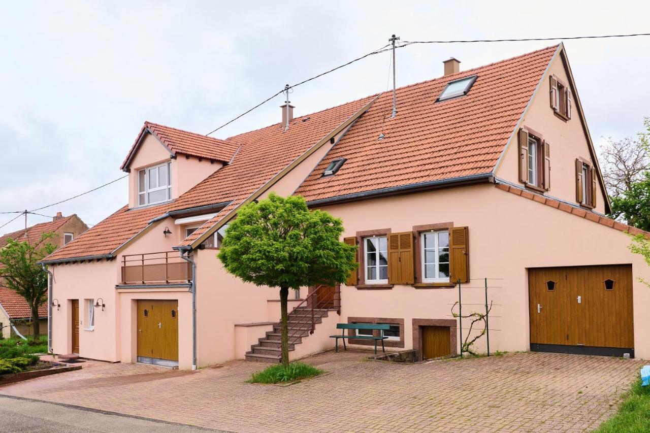 Le Pommier - Appt Avec Jardin Partage Appartement Puberg Buitenkant foto