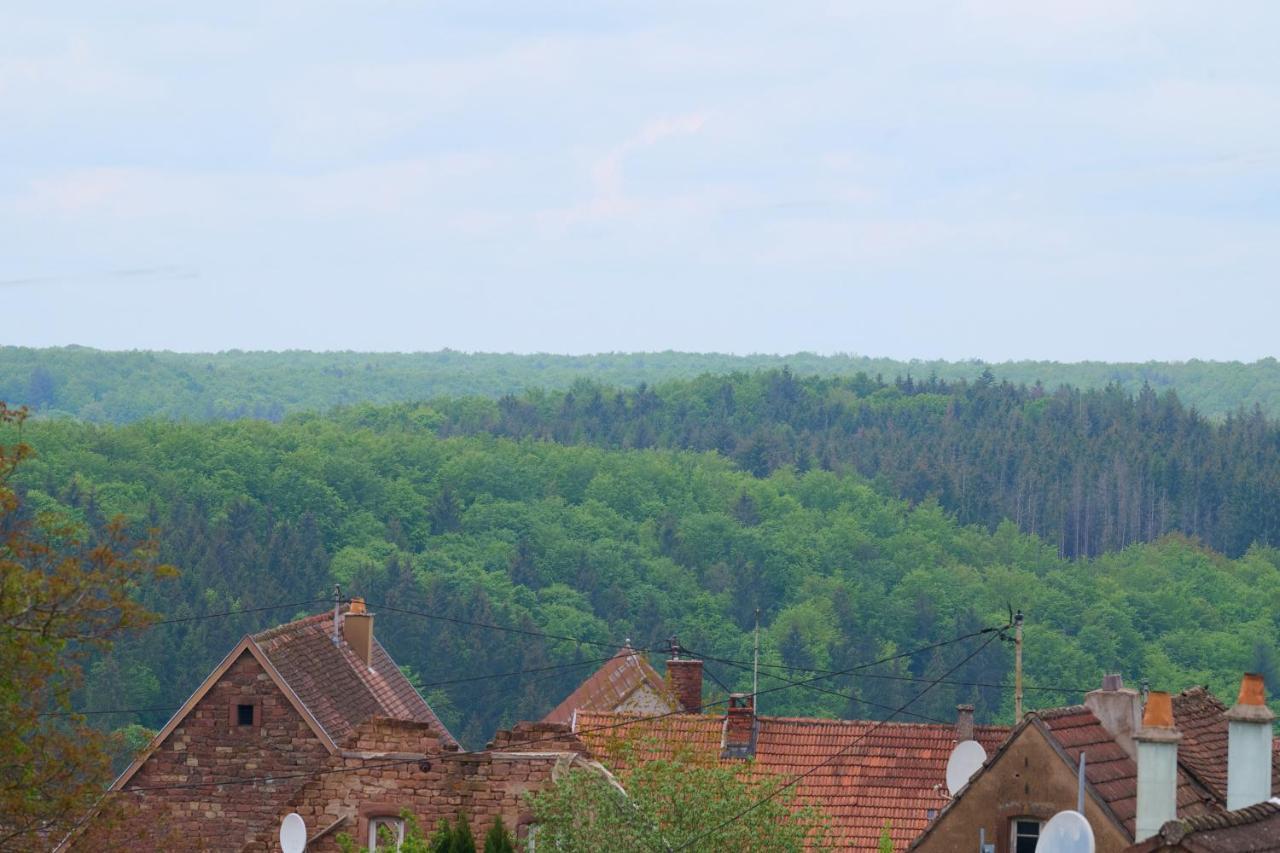 Le Pommier - Appt Avec Jardin Partage Appartement Puberg Buitenkant foto
