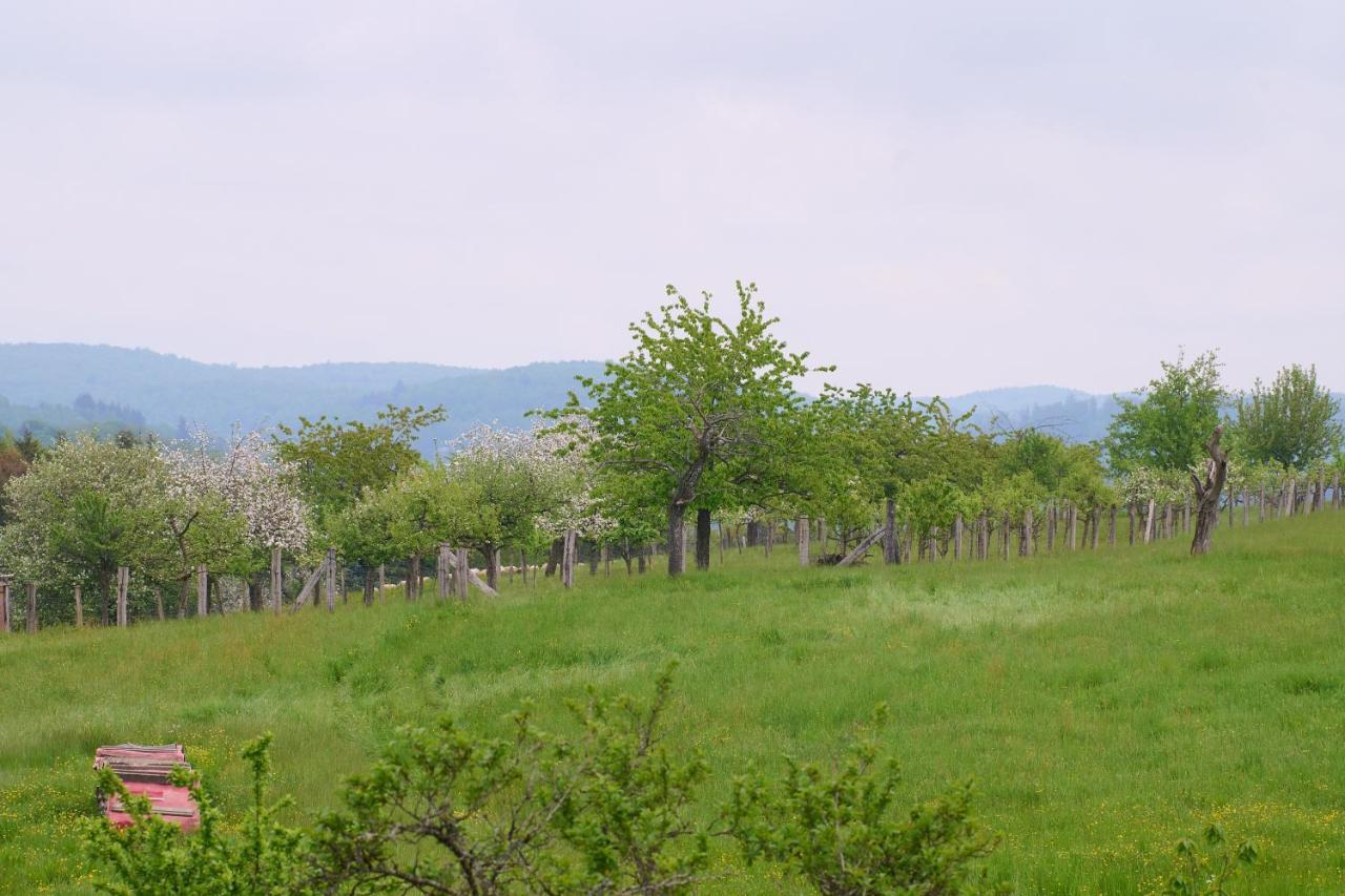 Le Pommier - Appt Avec Jardin Partage Appartement Puberg Buitenkant foto
